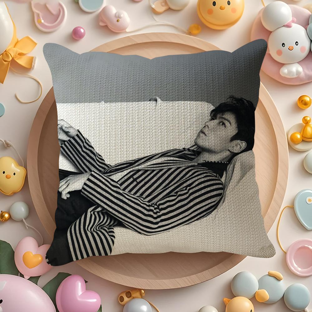 TOP Singer Pillow Case Pattern Printed Pillowcase For Living Room Sofa Cushion Cover  Bedroom Decor