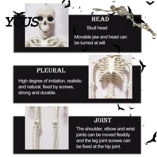 Sturdy Skeleton Figure for Garden Landscaping Halloween Decoration, 3Ft Life Size Full Body Human Bone, Realistic Posable Plastic Yard Decor