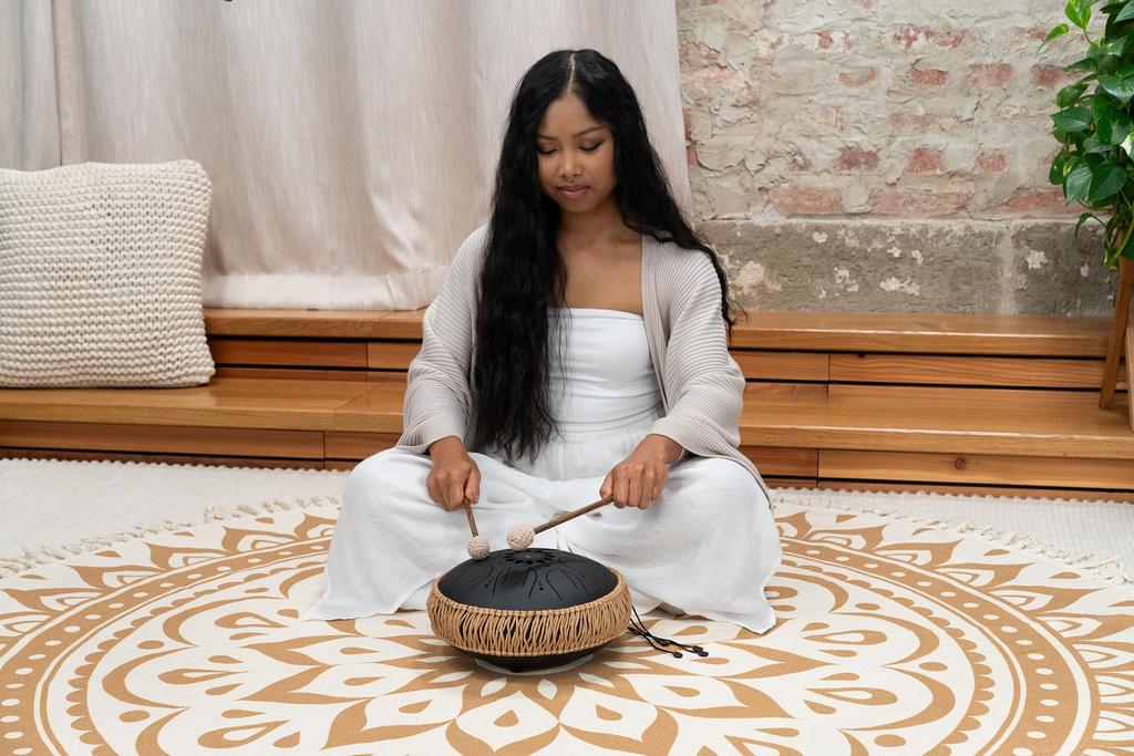 MEINL Sonic Energy Collection Medium Octave Steel Tongue B MOSTD1BK Storage Bag and Japanese Drum, Minor, 10-inch, Black, (Includes Mallets) [Official