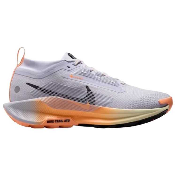 Nike Pegasus Trail 5 Running Shoes Women's Gray Sneakers FQ0912-011