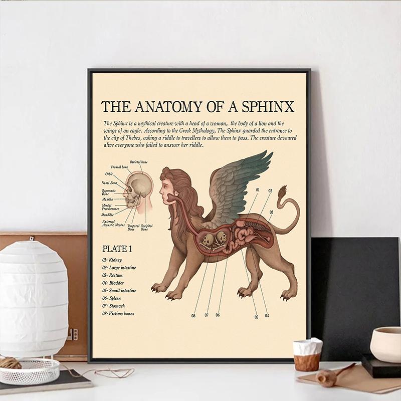 Vintage The Anatomy Of Mermaid Harpy Gorgon Poster Print Mysterious Creature Canvas Painting Wall Art Room Home Decor Cuadros