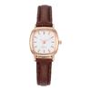 Watch Female Niche Light Luxury Female Student Literary And Simple Temperament Wind Small Square Watch Belt Women'S Quartz Watch