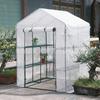 Walk-In Greenhouse with PE/PVC Cover – Ideal for Flowers and Succulents