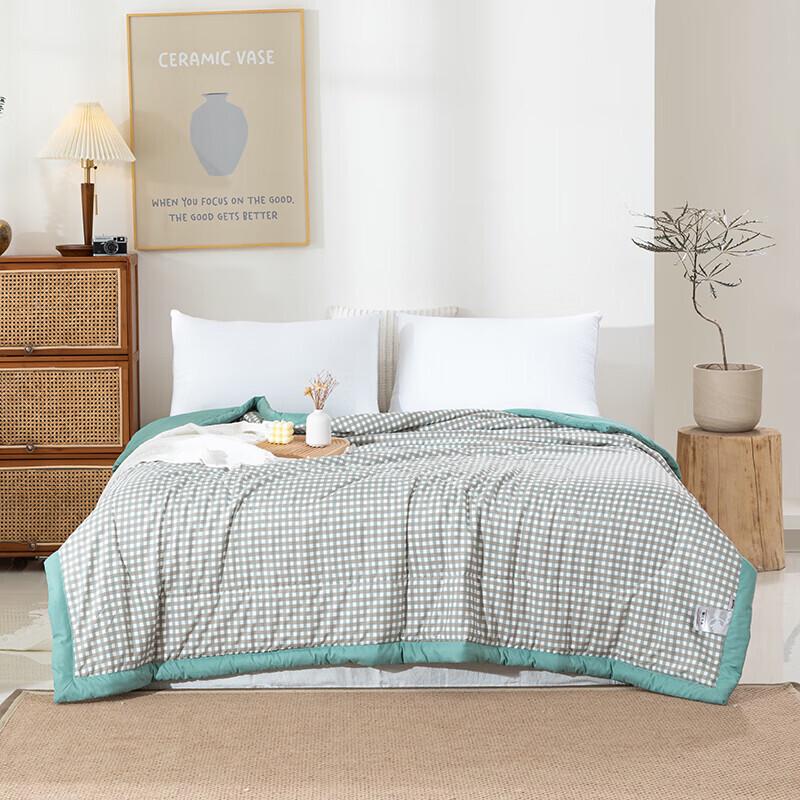 Muji Elegant Soft Feather Silk Summer Duvet
