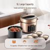 Midea 5L Electric Pressure Cooker CN plug (adapter included)