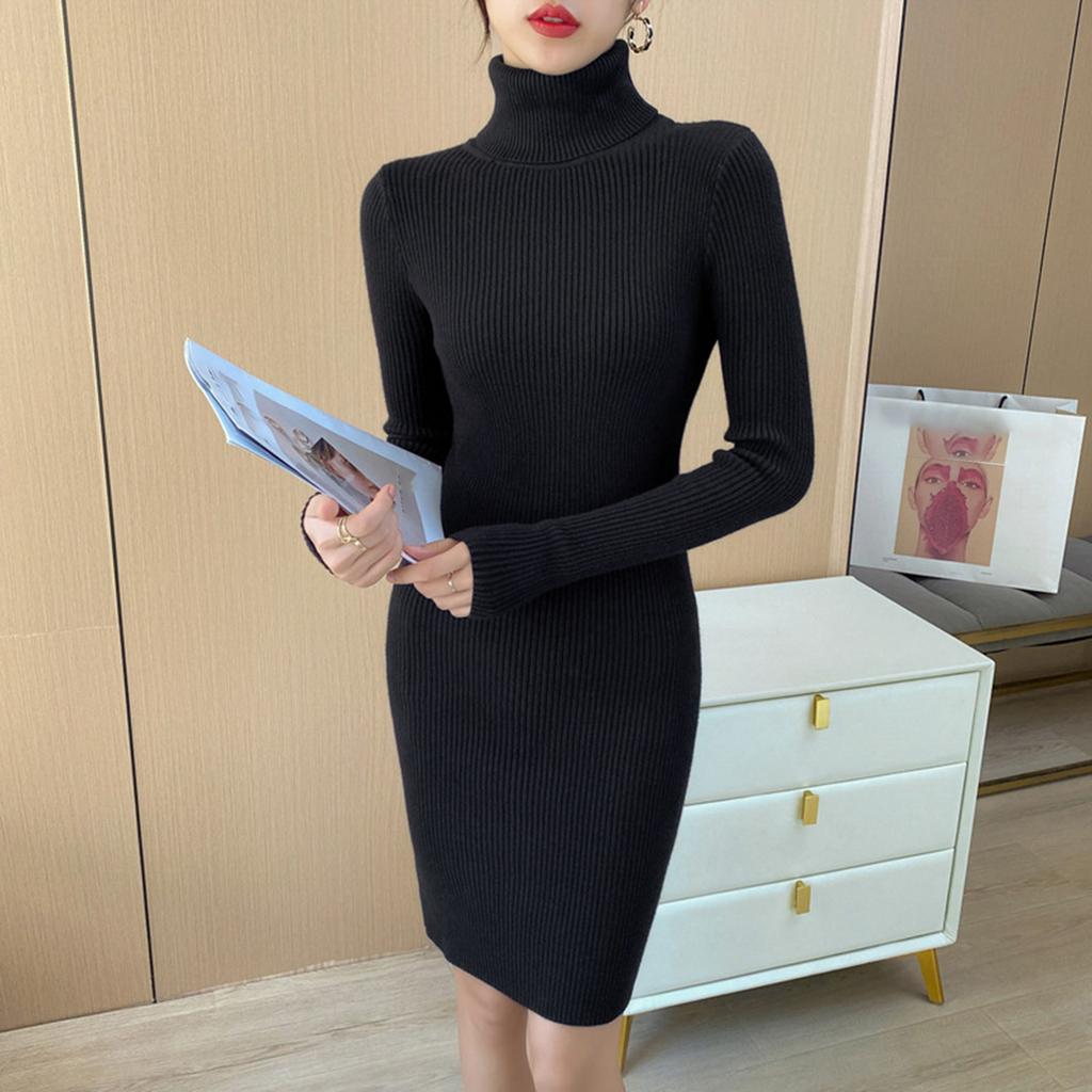 Ladies' Casual Color High Neck Knitted Dress