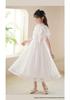 Girls' Korean Style Short Sleeve Chiffon Princess Dress