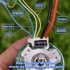 Bl4539P L Brushless Motor With 2440Rpm Cw Rotation Perfect For Fascia Gun Repair Replacement Fits 9V To 12V Dc