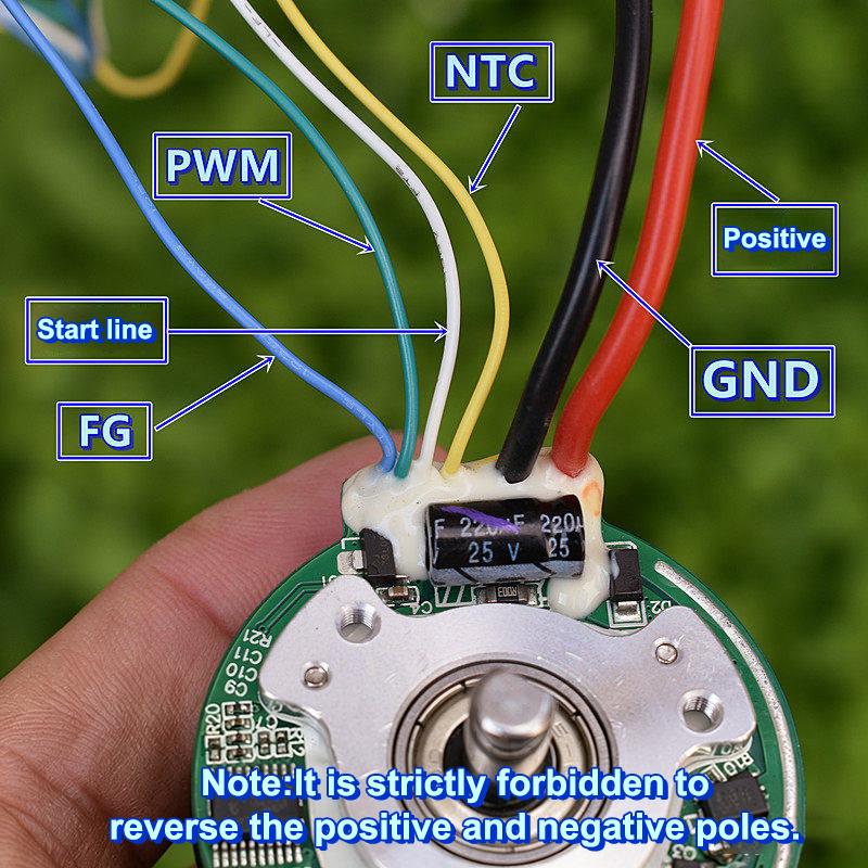 Bl4539P L Brushless Motor With 2440Rpm Cw Rotation Perfect For Fascia Gun Repair Replacement Fits 9V To 12V Dc