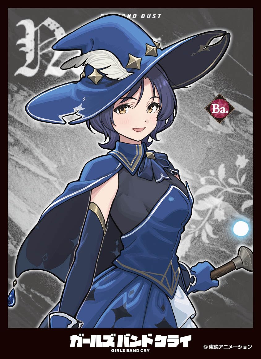 

Протекторы для карт Girls Band Cry Нана Пак [C] (EN-1512)