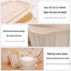 Edo Biodegradable Corn Starch Disposable Food Containers