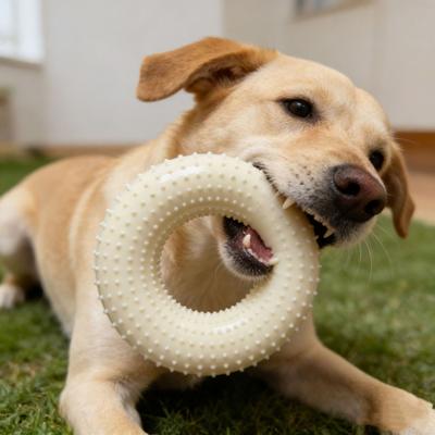 Donut Dog Chew Toy Interactive Squeaky Dog Teeth Cleaning Toy Textured Donut Low Noise Teething Toy for Puppies Aggressive Chewers
