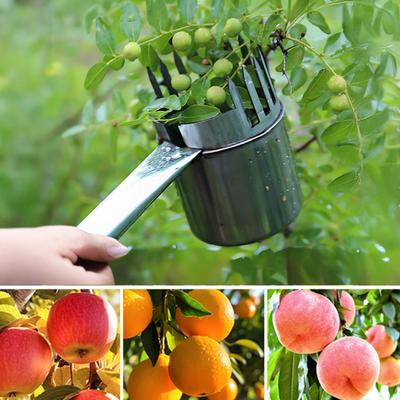 Raccoglifrutta in Metallo Attrezzo Leggero per la Raccolta di Frutta con Sacca o Coppa Strumento per la Raccolta di Frutta per la Raccolta delle Giuggiole
