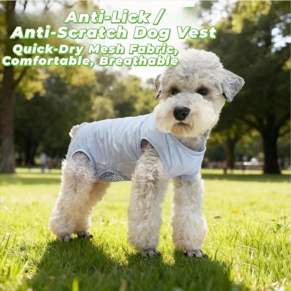 Breathable Cat Recovery Suit Soft Pet Anti-Lick Cloth Pet Sterilization Suit  Spayed/Neutered