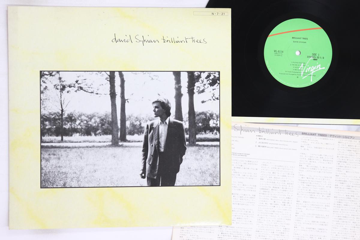 

LP Record DAVID SYLVIAN - Brilliant Trees VIL6114,VIRG611 VIRGIN 1984 Japan Rock Used