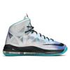 New Nike LeBron X Re Entry 541100-008