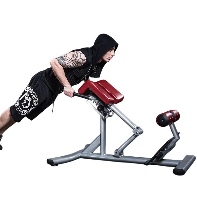 YANBO Roman Chair Hyperextension Bench