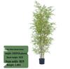 Artificial Bamboo Plant Decoration for Indoor and Outdoor Spaces