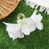 Comfortable To Wear Canna Flower Hair Claw Non-slip Styling Hair Crab  Beach