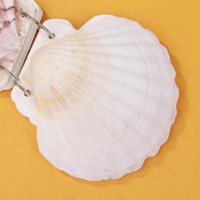 Mini Sevimli Deniz Kabuğu Yaprakları Ayrılabilir El Defteri El Yapımı Küçük Deniz Kabuğu Defteri Taşınabilir Kadınlar Kızlar Doğum Günü Hediyesi