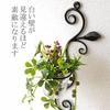 Vase Wall-mounted Glass Single Flower Holder Stylish Base Cup Iron Simple Cute Wall Decoration Interior Mini