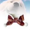 Cozy Pet Neckwear for Winter Adventures