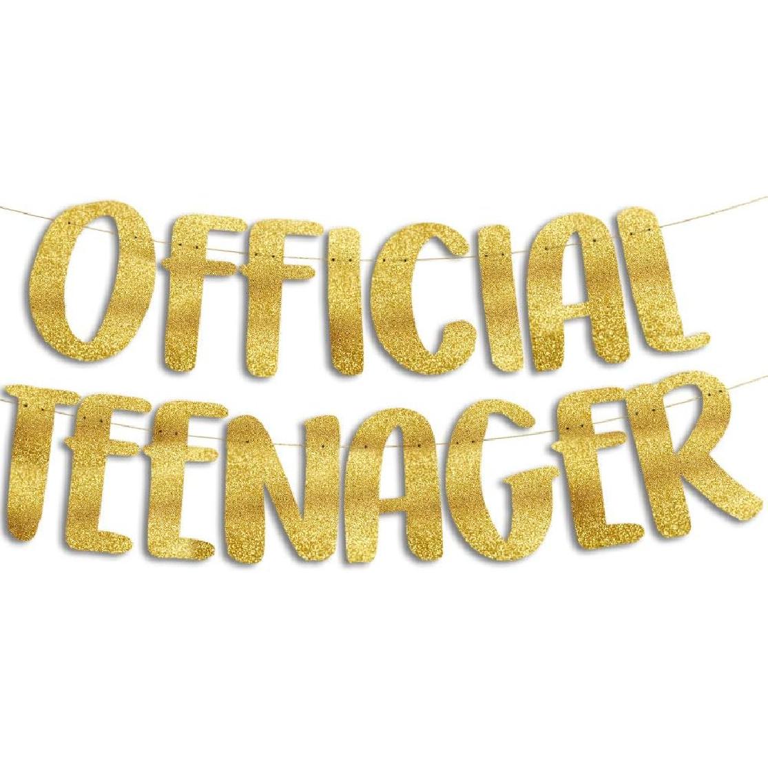 Official Teenager Purple Glitter Banner - 13th Birthday Party Decorations Gifts and Supplies Official Teenager Gold