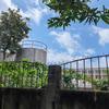 304 Stainless Steel Anti-Climb Wall Spikes