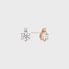 Silver Earrings RC0217