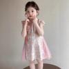 Summer Thin New Chinese Baby Girl Princess Dress Mesh Floral Dress