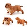 Educational Bulldog Model Animal Model Pitbull Figurine Simulation Bulldog  Collection