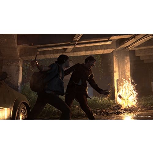 [PS4] The Last of Us Part II [CERO rating "Z"]