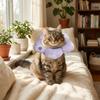 Adjustable Cat Elizabeth Collar Breathable Anti-Scratch Dog Recovery Collar Soft Comfortable Grooming Cover Grooming Bath