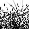 Halloween-Duschvorhang, schwarze Fledermaus, Halloween, gruseliges Muster, Duschvorhang, gruselige Fledermaus, Badezimmervorhang, Badezimmerdekor mit Haken
