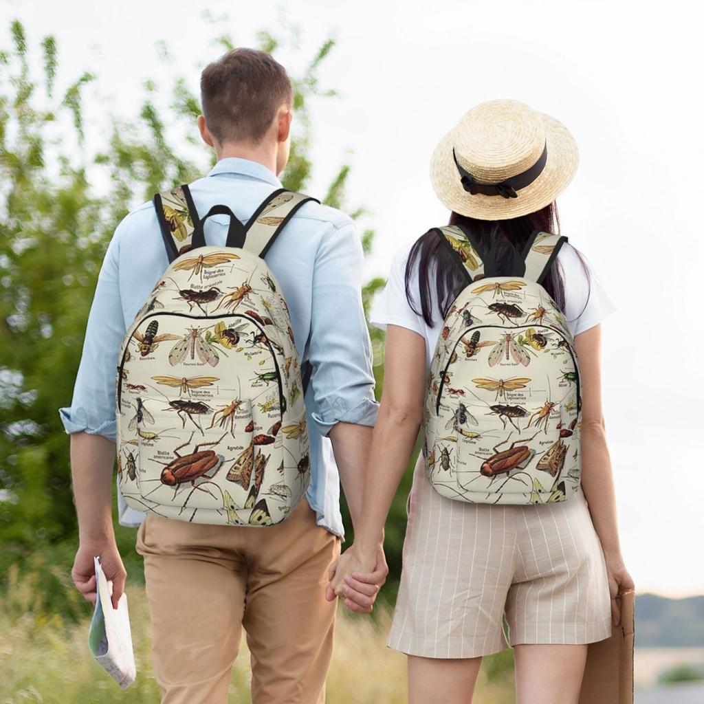 Insects Chart. Scientific Illustration, Text In French Backpack Hot Sale Daypack BookBag School Bag Shoulder Bags for Men Women