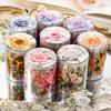 2m 1 Rolle PET Pflanze Blumen Klebeband Aufkleber Dekorative Collage Klebstoff Diy Scrapbooking Hand Made Masking Tape