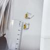 Silver Earrings with Citrine Nano 4.058ct (1962510)