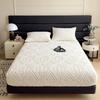 European Style Plush Velvet Bed Cover - Winter Warmth, Full Wrap Mattress Protector