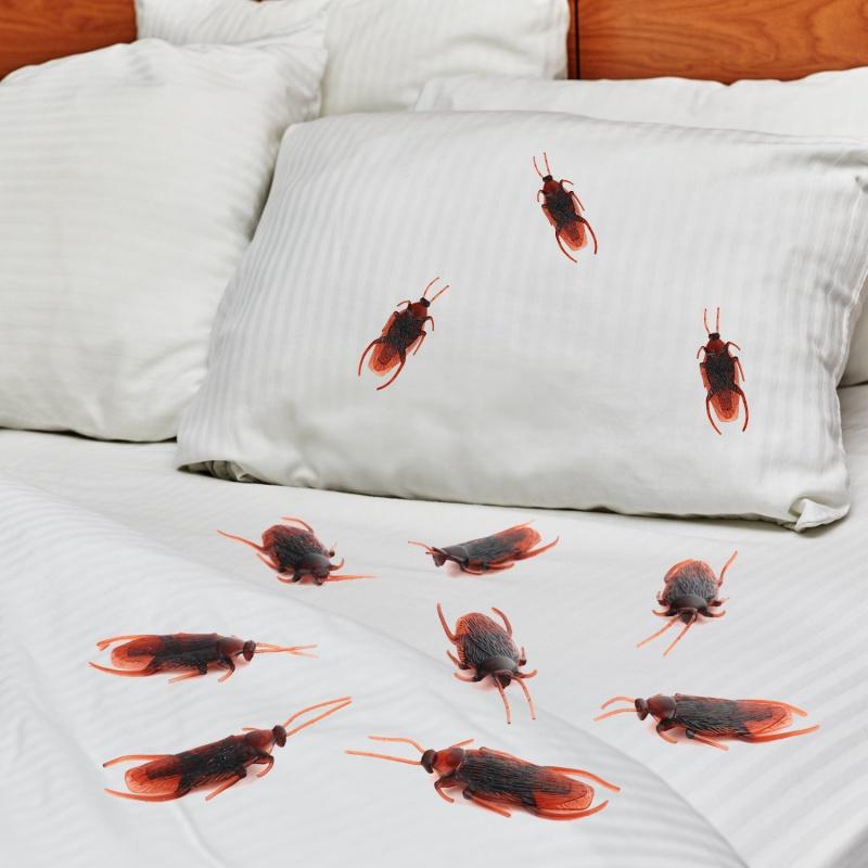 10/50Pcs Realistic Plastic Cockroach Simulation Fake Cockroach Insect Spoof Toy Fake Bug Scary Horror Novelty Fun Halloween Gift