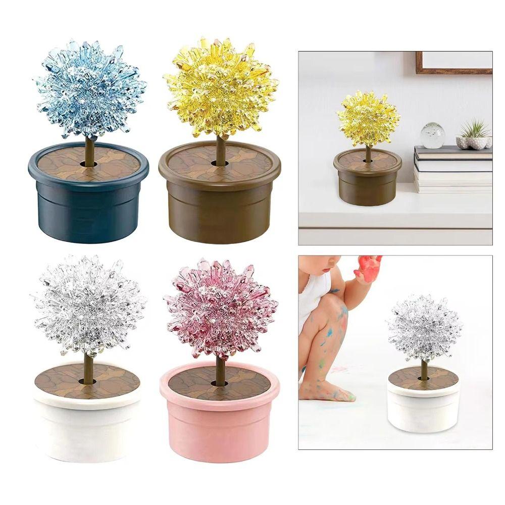 Grow a Crystal Science Experiments Toy Colored Crystals Crystal Making Kit Science Gifts