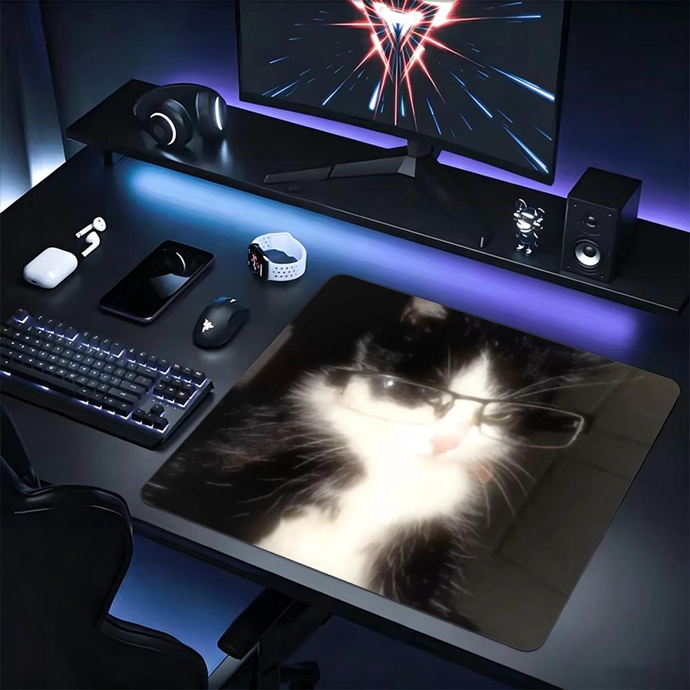 Funny Glasses Pet Portrait Small Mouse Pad 45X50 Laptop Mousepad Keyboard Mat Desk Protector Meme Animal E-sports Gaming Pads