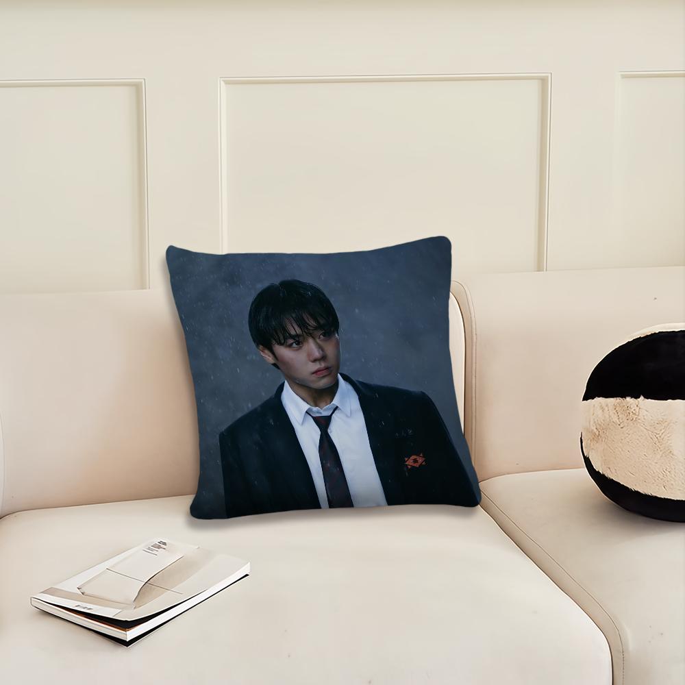 Weak H-Hero Class 2 Park Ji-Hoon cushion cover Cushion Room Bedroom Headboard Sofa Living Backrest Nap Time Pillow Case
