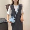 Small Nylon Shoulder Bag Korean Style Dumpling Bag Cute Canvas Messenger Bag  Office Worker