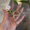 1PC Women Metal Hair Claw Elegant Gold Flowers Hair Clips