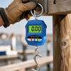300kg Weighing Capacity Portable Heavy Duty Hook Weighing Scale Electronic Weight Balance  Farm Use