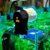 Smart Timer Automatic Feeder Fish Tank Accessories Fish Feeder Tool Fish Feeding Dispenser