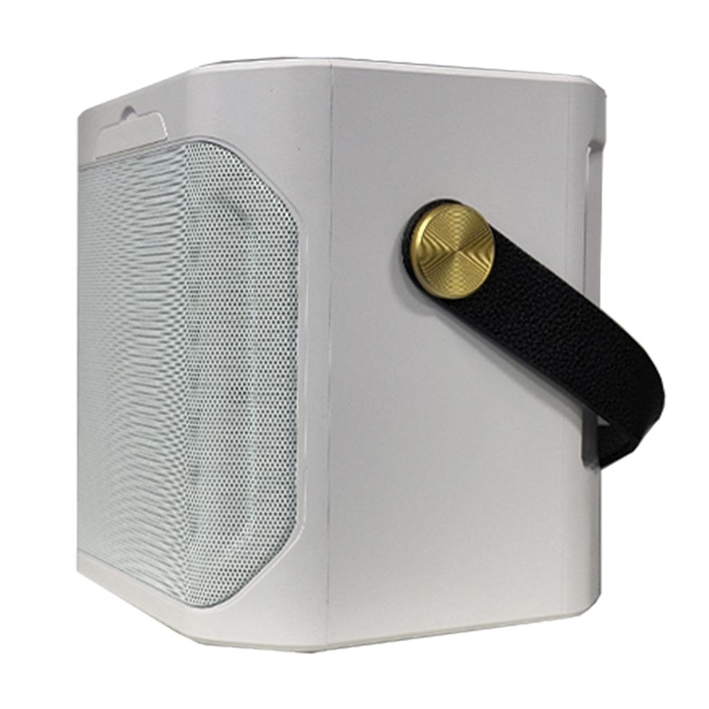 Wireless Bluetooth Speaker Dual Microphone Portable Karaoke Speaker Home Theater