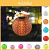 Certified Solar Lantern With Led Lights Stylish And Long-lasting