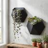 Fioriera da appendere a parete stampata in 3D Vasi da coltivazione a parete Vasca unica per piante succulente Balcone