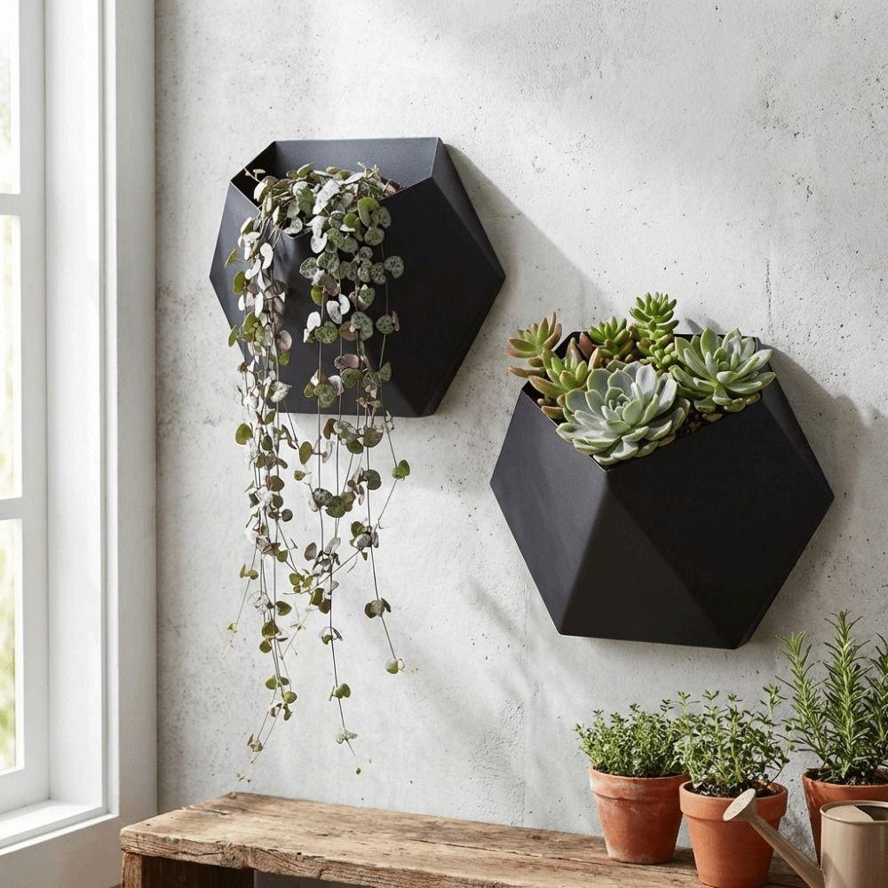 Fioriera da appendere a parete stampata in 3D Vasi da coltivazione a parete Vasca unica per piante succulente Balcone